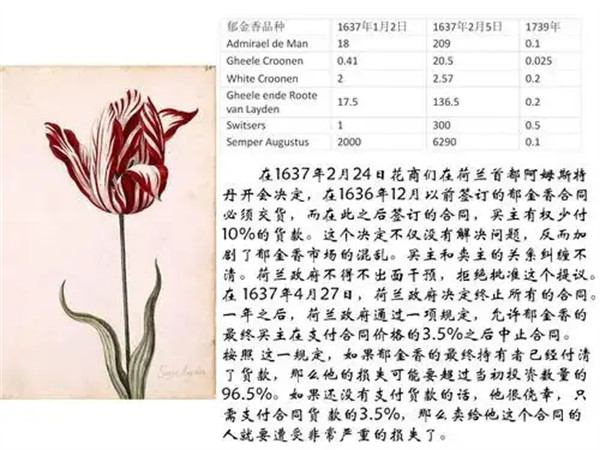 郁金香泡沫事件是什么意思发生在哪一年