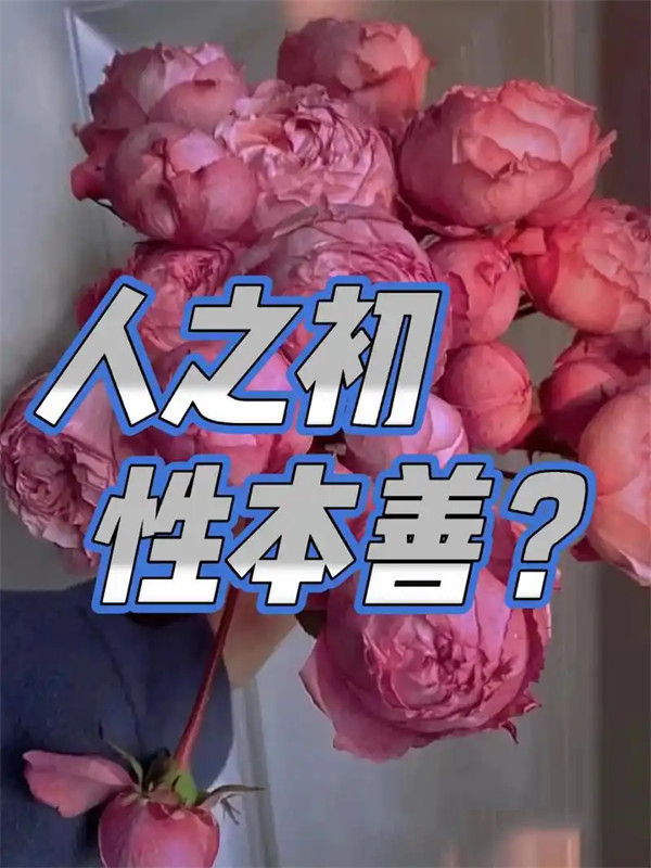 深度聊聊性善论与性恶论的渊源及特征