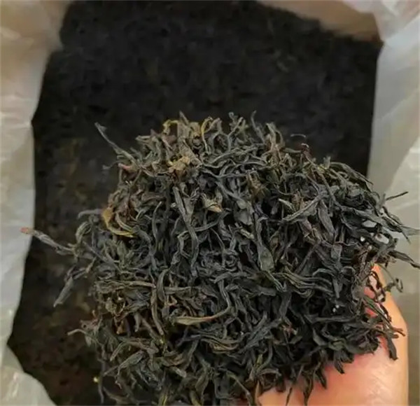 凤凰单丛茶属于什么茶的品类