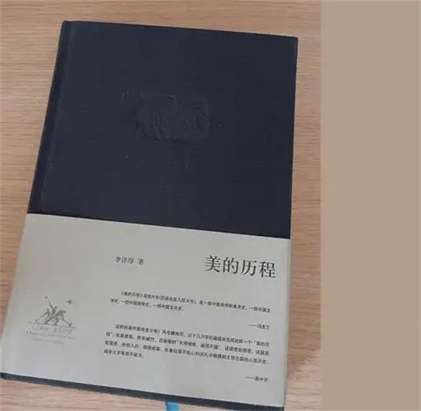 美的历程是什么书主要讲了什么内容