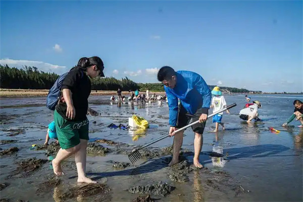 赶海是什么意思要早上还是晚上去