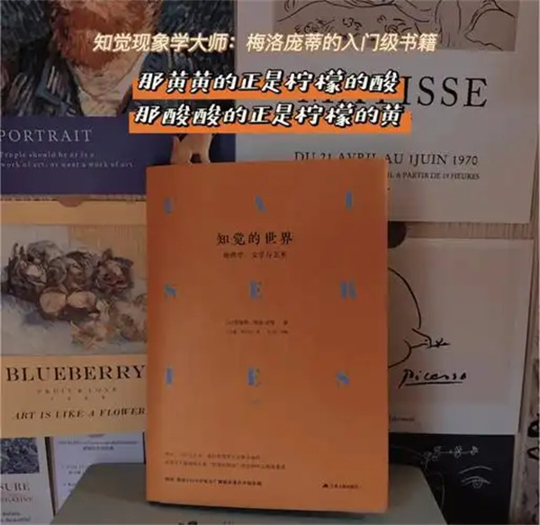 知觉现象学原理是什么都有哪些现象