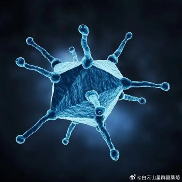腺病毒传染性强吗有哪些症状