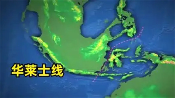 华莱士线是什么意思是什么分界线