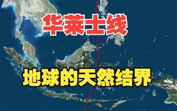华莱士线是什么意思是什么分界线