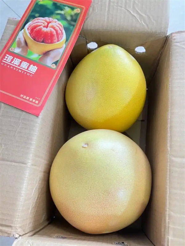 三红蜜柚的简介及优缺点介绍