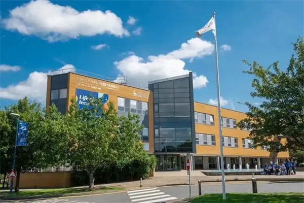 萨里大学在英国排名和世界排名怎么样