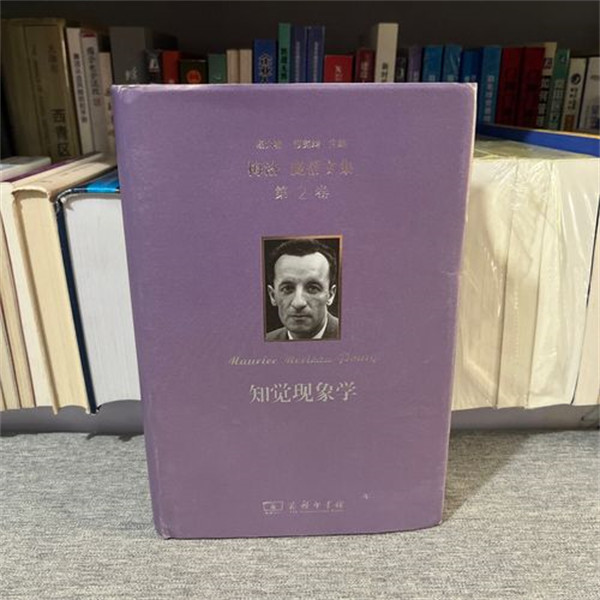 知觉现象学原理是什么都有哪些现象