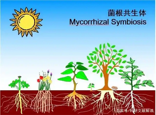 环境梯度是什么意思有哪些类型