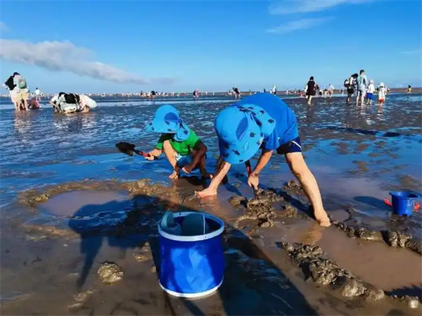 赶海是什么意思要早上还是晚上去