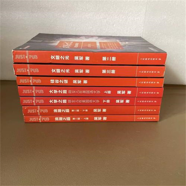硅谷之谜这本书讲的是什么内容