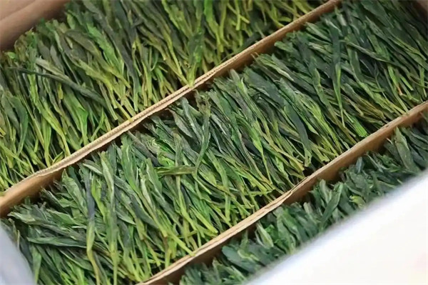 太平猴魁属于什么类的茶多少钱一斤