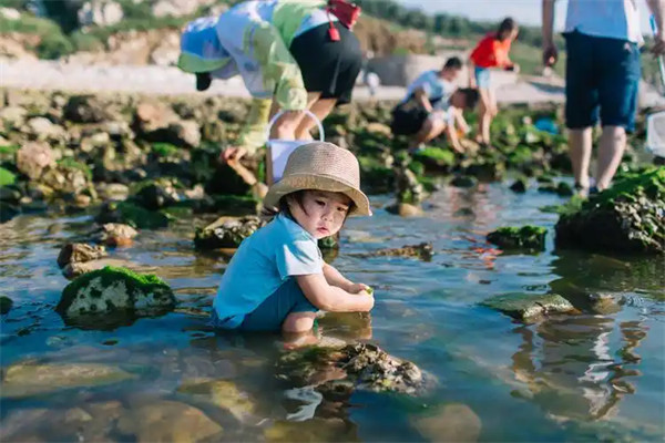 赶海是什么意思要早上还是晚上去