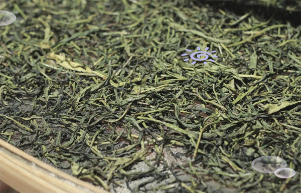 凤凰单丛茶属于什么茶的品类